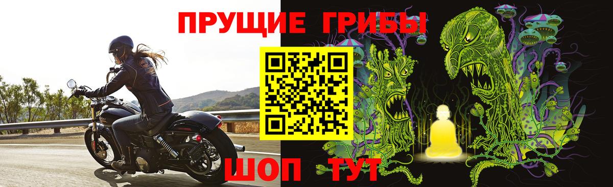 Галлюциногенные грибы MAGIC MUSHROOMS Брянск