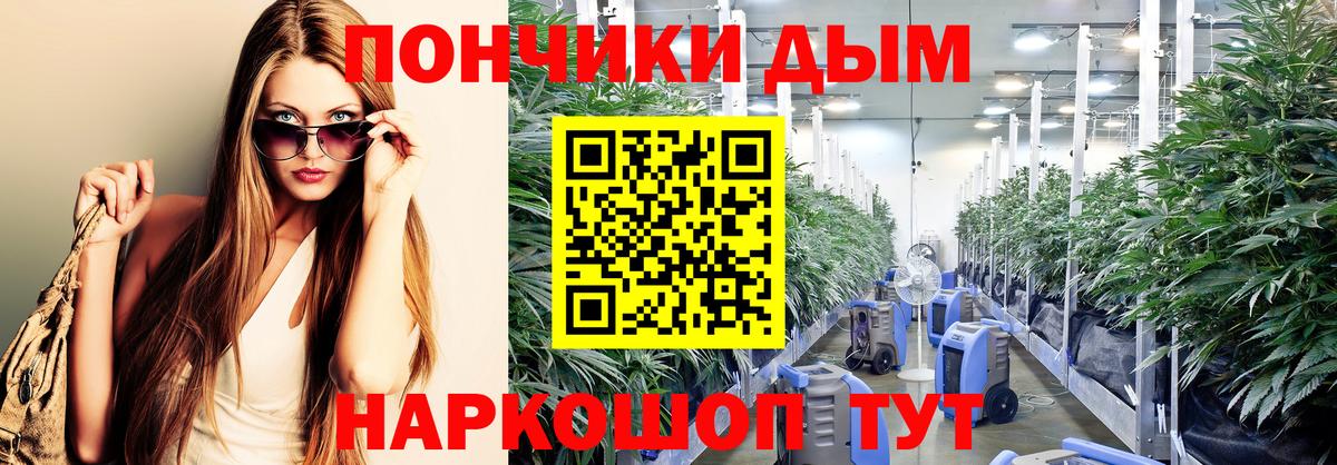 Каннабис конопля Брянск